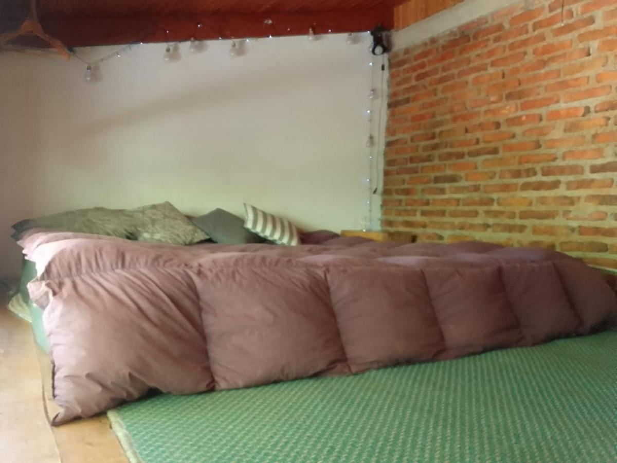 Casita En La Montana Apartment San Martin de los Andes Bagian luar foto